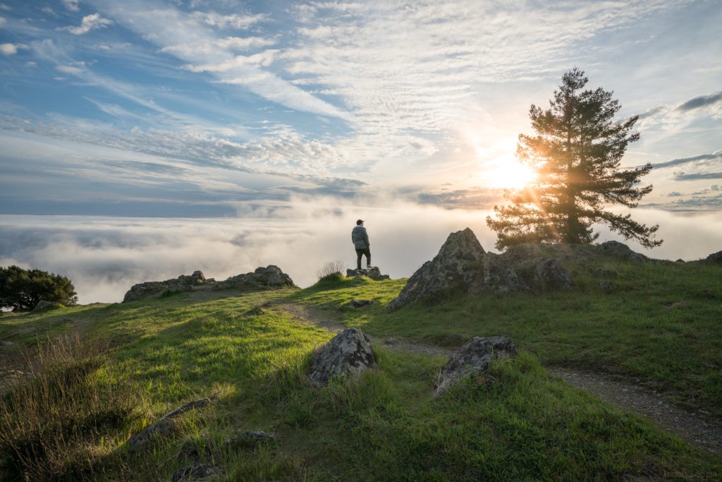 Coastal view on great fall hikes of Steep Ravine and Matt Davis Loop in Mt. Tamalpais State Park
