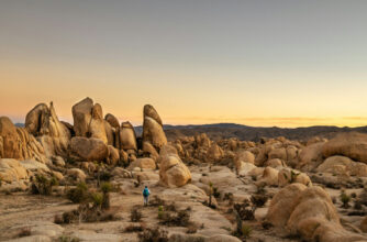 Joshua Tree National Park Hiker