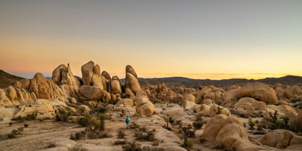 The Ultimate Insider Guide to Joshua Tree and the High Desert