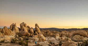 Joshua Tree National Park Hiker