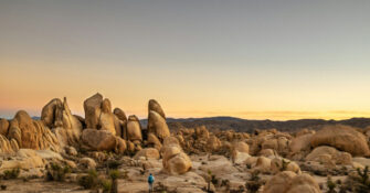 Joshua Tree National Park Hiker