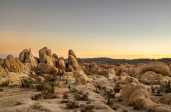 Joshua Tree National Park Hiker