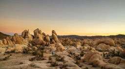 Joshua Tree National Park Hiker