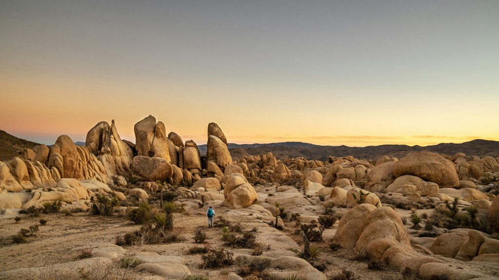 The Ultimate Insider Guide to Joshua Tree and the High Desert