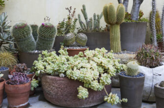 Kai Loebach Container Garden