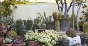 Kai Loebach Container Garden