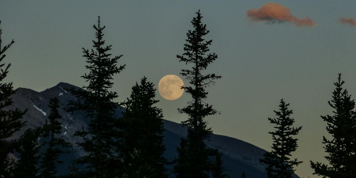 Don’t Miss the Stunning ‘Pink Moon’ This Friday