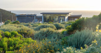 Lands End Lookout Golden Gate National Recreation Area Shrubs