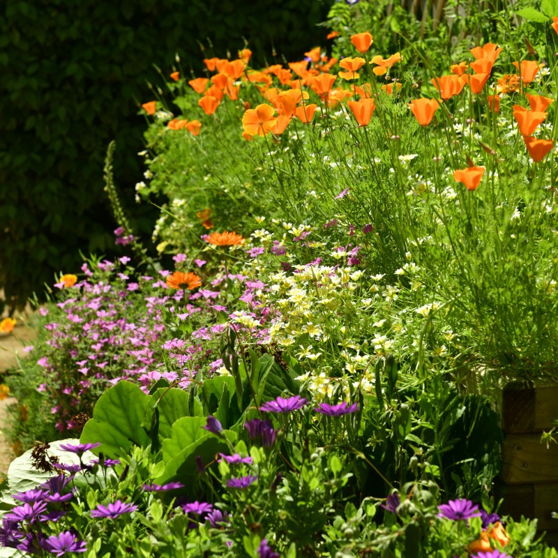 How to Keep Your Garden From Looking Ugly in the Winter