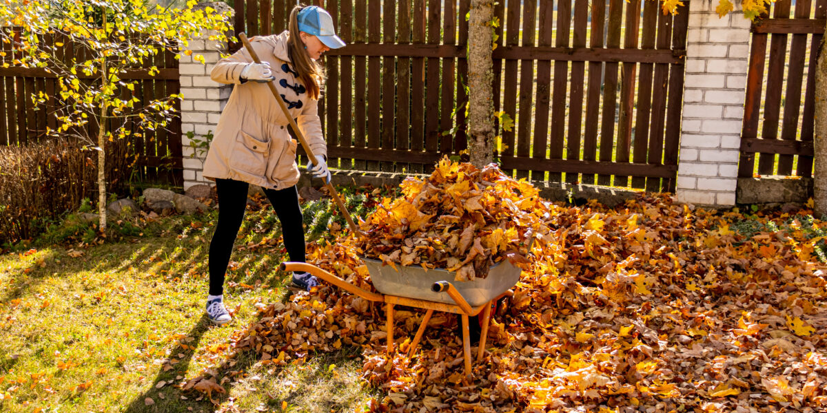 How to Get Rid of Leaves