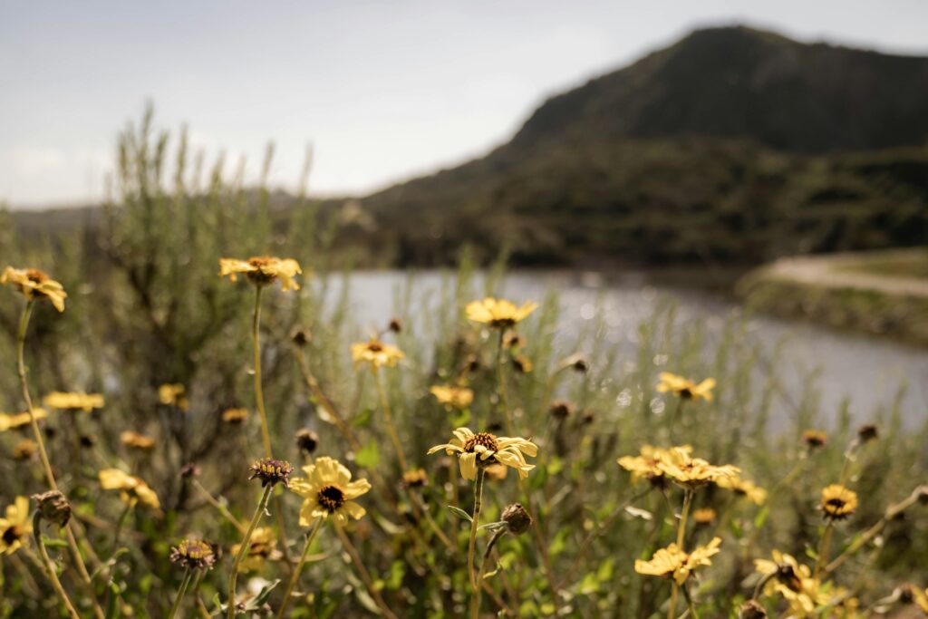 Calavera Lake