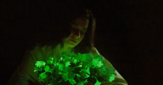 Light Bio Firefly Petunia Glow in the Dark Plant