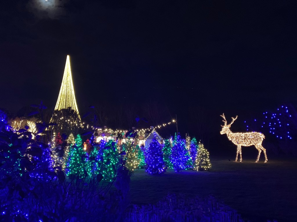 Lights, Ice, and Bites: Winter Festivals Happening in the West