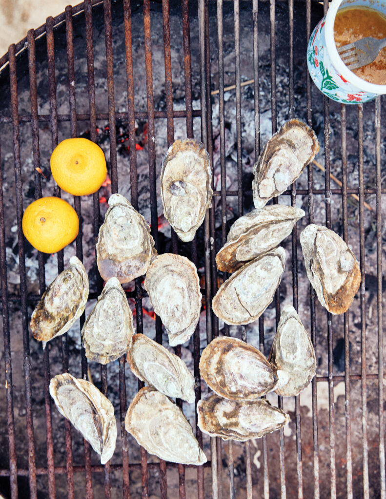 Magdalena Bay Oysters Baja