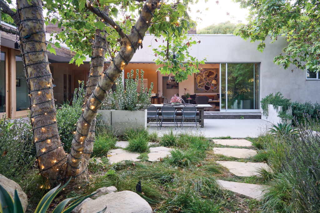 Maricopa Native Grasses and Flagstones