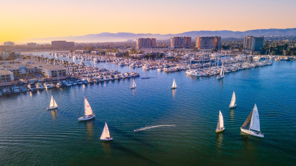 Marina Del Rey Sailboats