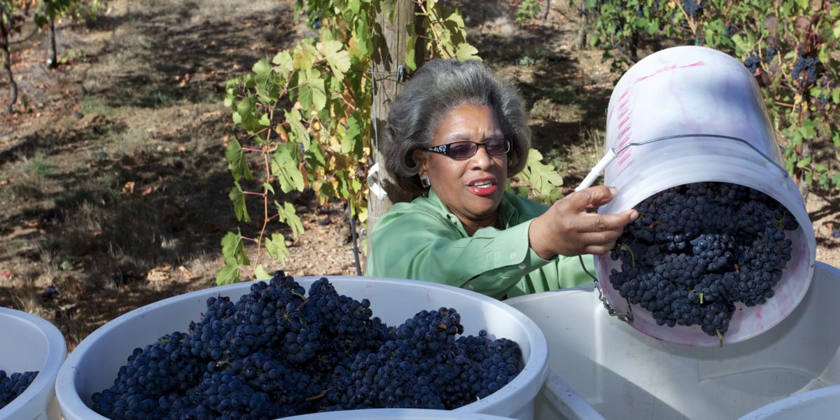 Theodora Lee with Grape Bins