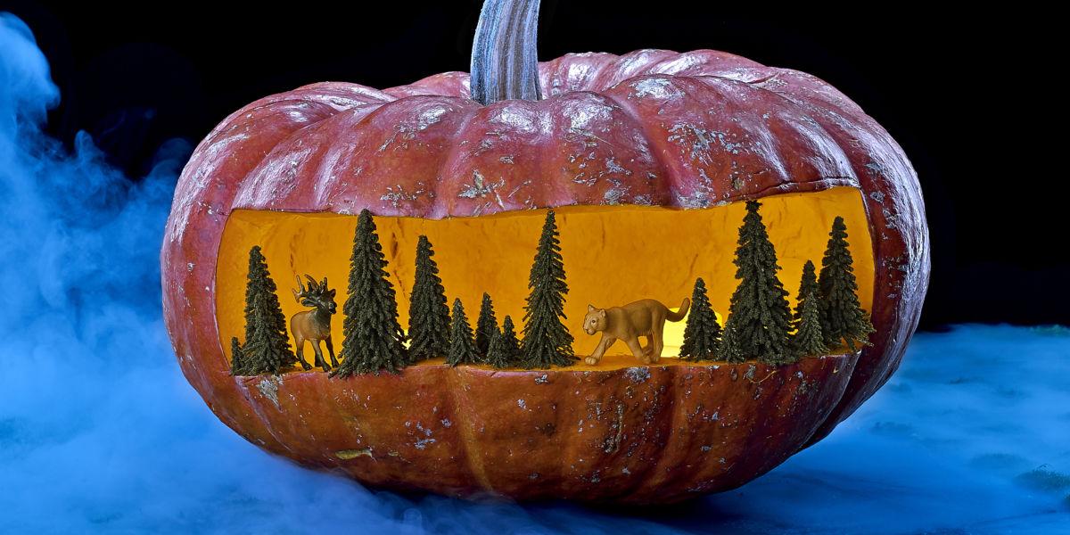 halloween pumpkin carving pictures