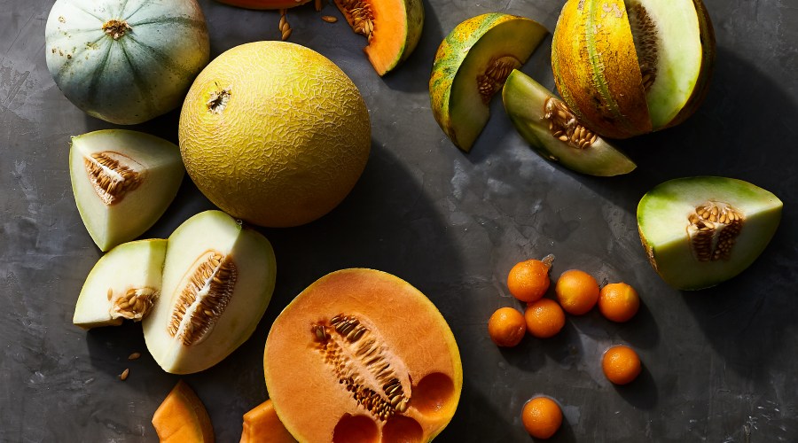 how-to-choose-our-top-6-melon-varieties