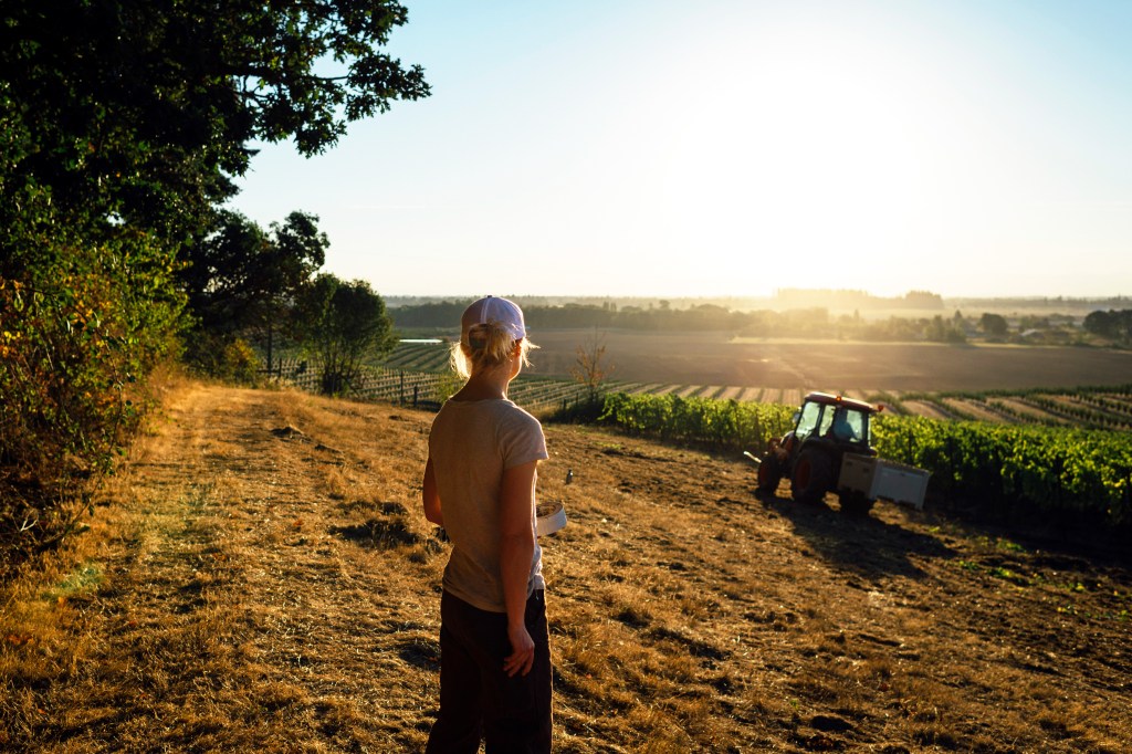 How to Imbibe in the West's Golden Era of Winemaking