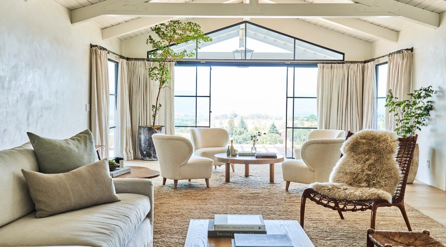 Move Over Monstera, These Striking, Minimalist Houseplants Are the Next Big Thing