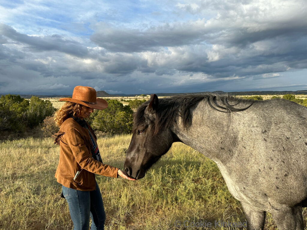 Modern Elder Academy Santa Fe Woman with Horse