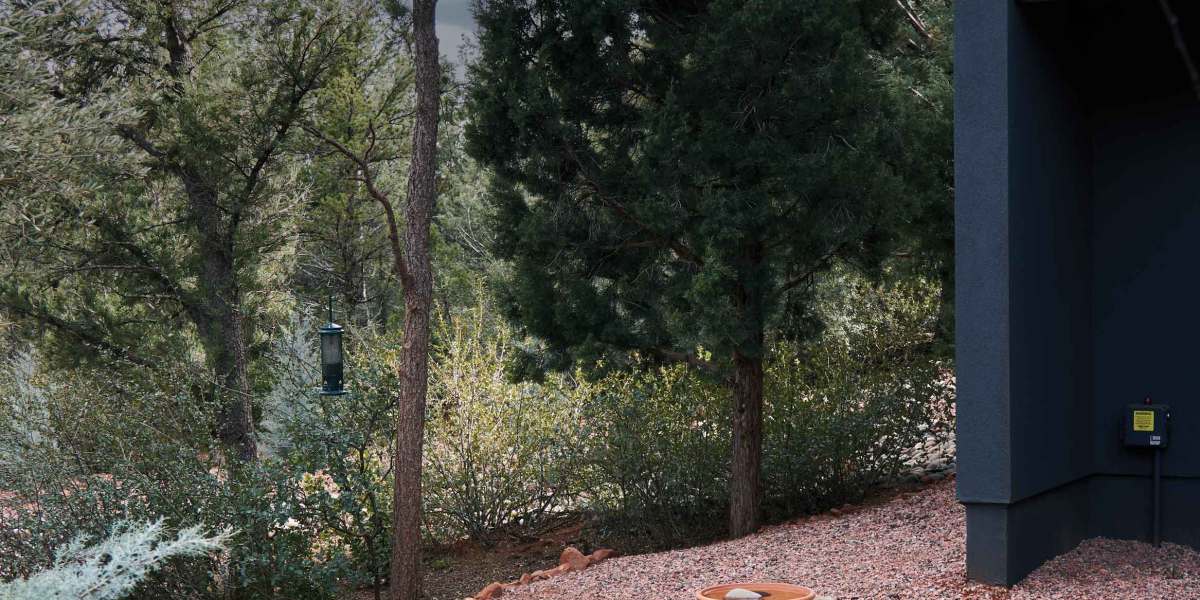 El Niño Is Coming. Here’s How to Get Your Garden Ready.