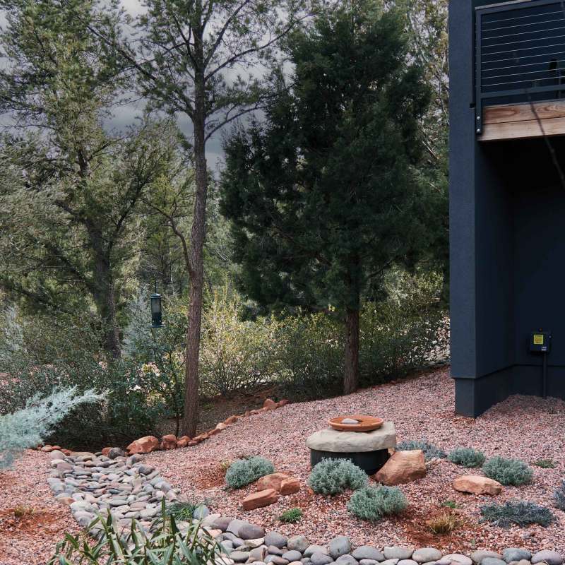 El Niño Is Coming. Here’s How to Get Your Garden Ready.