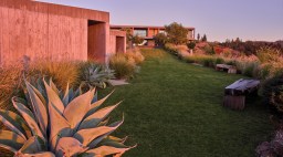 SurfaceDesign Garden