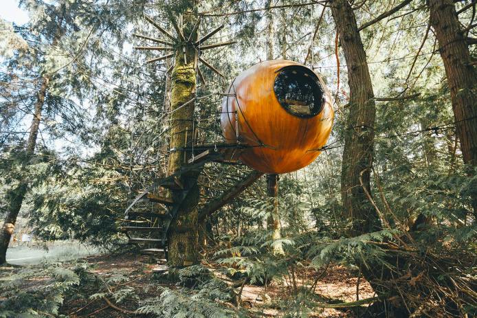 Unusual hotel in Vancouver Island with orbs hanging in trees