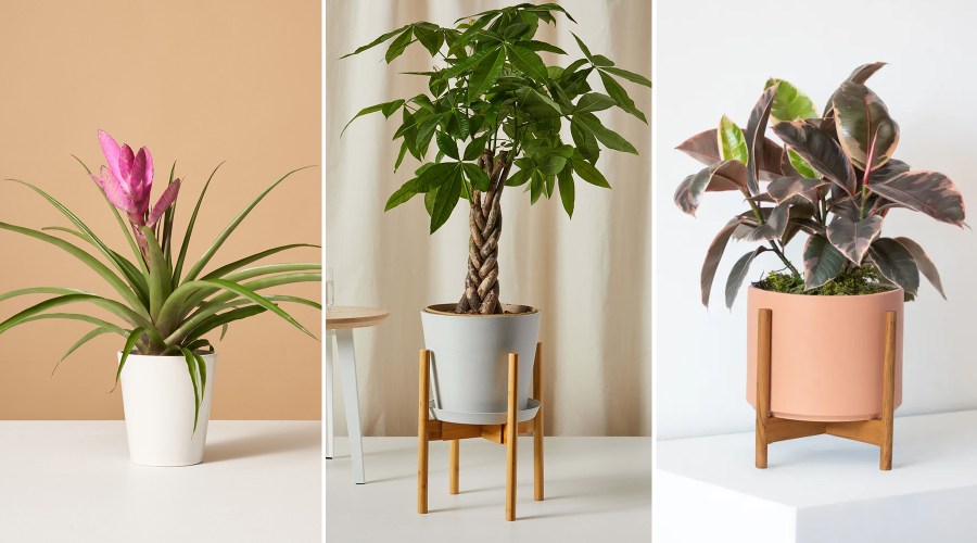 9 Mother’s Day Gifts That Are Better Than Your Average Bouquet