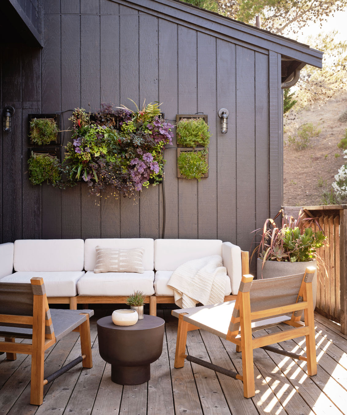 Mounted Wall Garden by Susie Novak