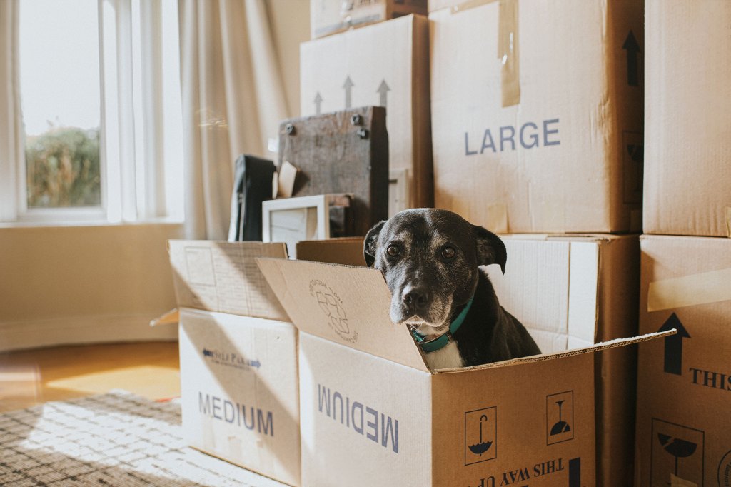 7 Things You Must Do Before a Big Move, According to an Organizing Expert