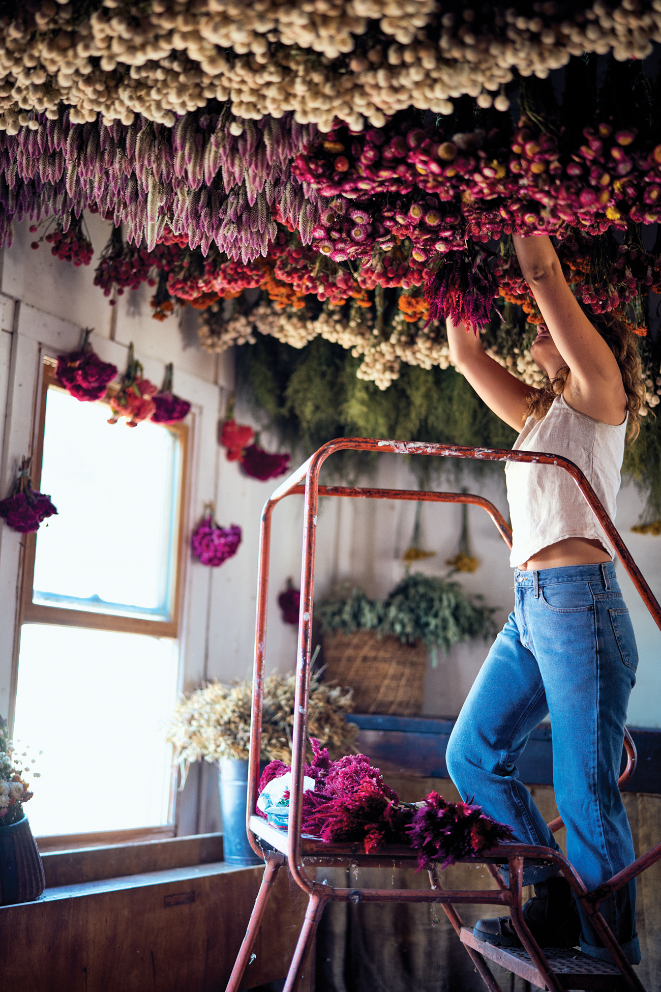 Muller Dried Flowers Wreath Room Full Belly Farm