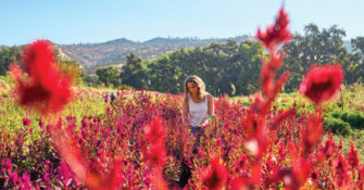 Muller Harvesting Flowers Full Belly Farm