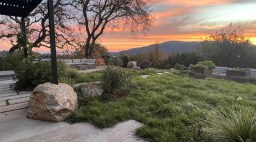 Native Lawn by Christian Douglas