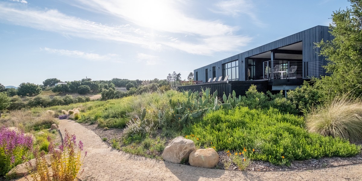 Native Plants Garden