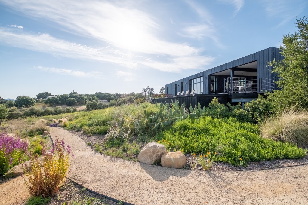 Everything You Need to Know About Watering Your Native Plants This Summer