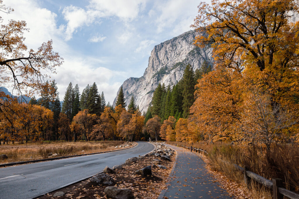 Fall Color in Yosemite