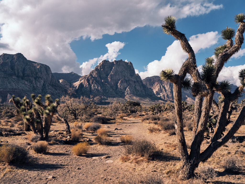 Red Rock Canyon National Conservation Area
