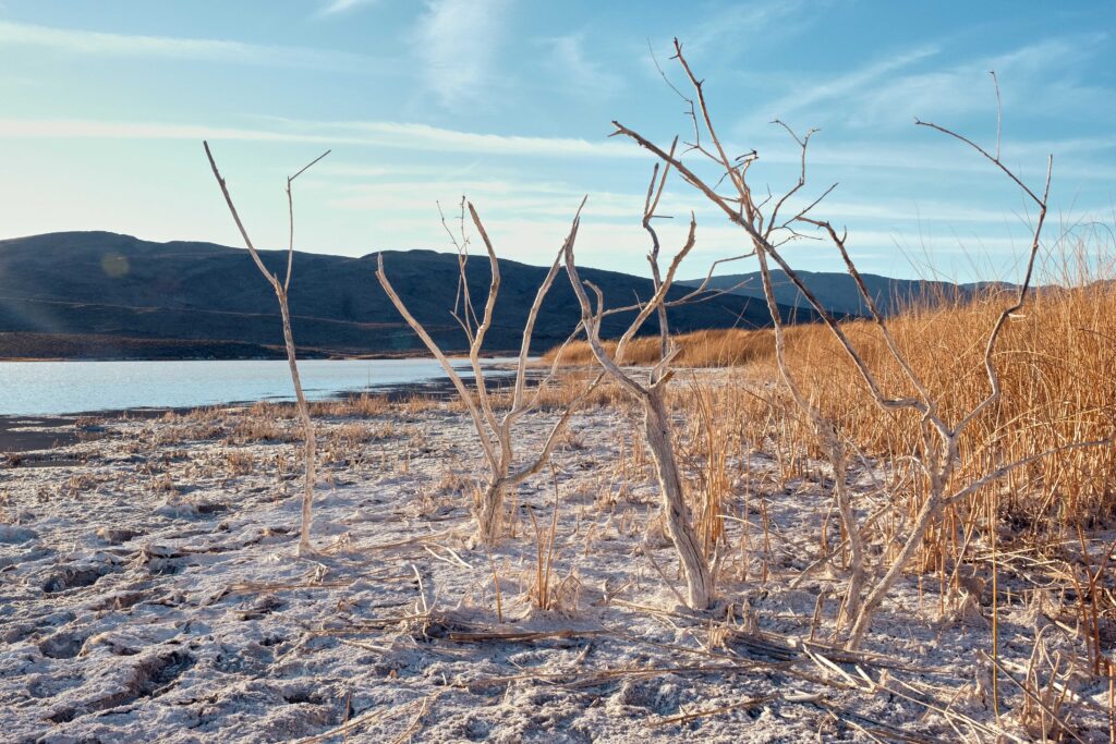 Pahranagat Wildlife Refuge