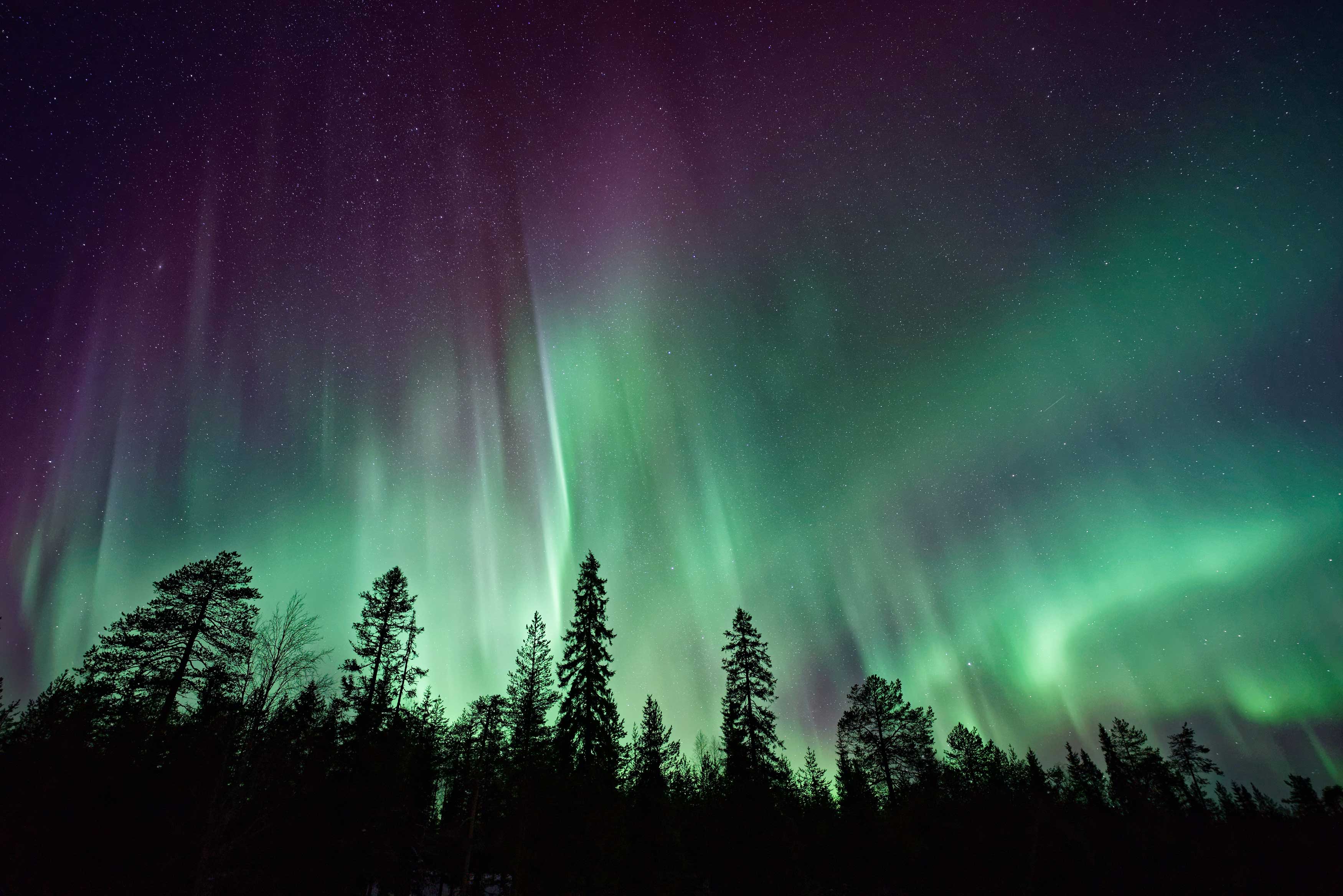Northern Lights Solar Max Aurora Over Trees Unsplash 1023 