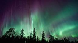 Aurora Borealis Over Trees