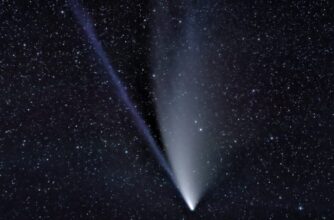 Comet NEOWISE