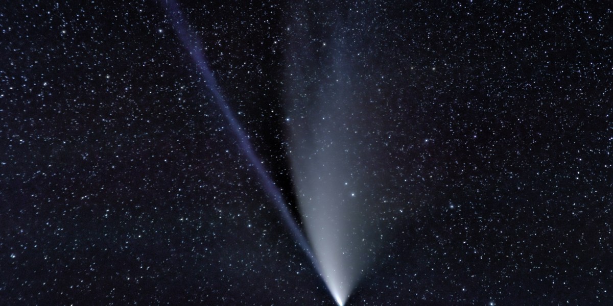 Comet NEOWISE
