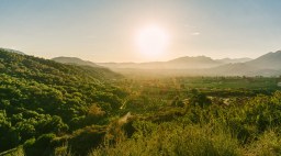 Ojai Valley Landscape