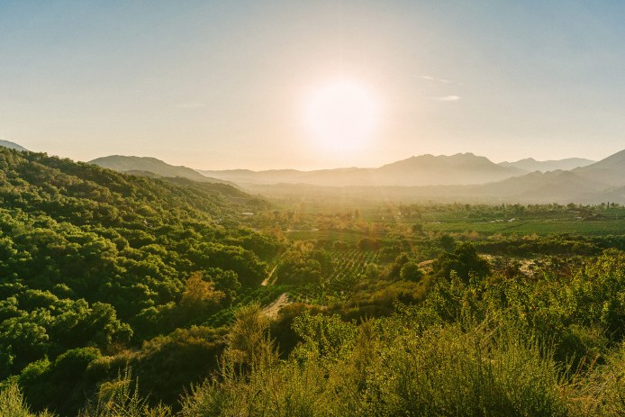 Ojai Valley Landscape