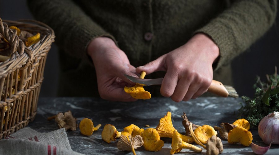 The Gear, the Books, and the Know-How to Finally Get into Foraging