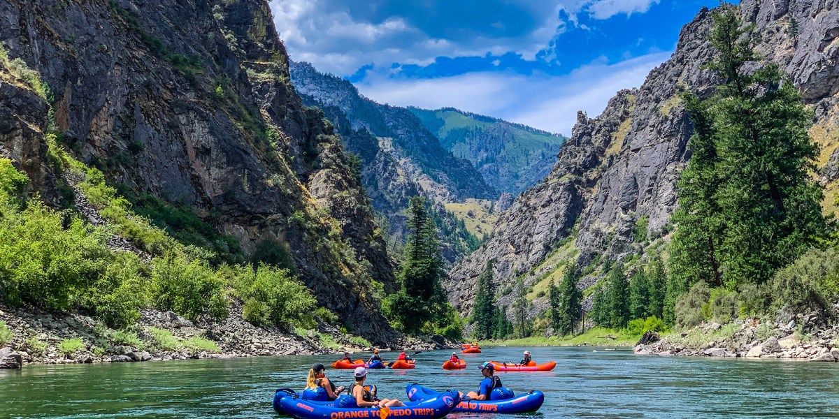 Orange Torpedo Trips