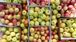 Apples in Fiber Baskets